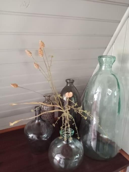 Micro Maison Isba Sedan Givonne Bagian luar foto